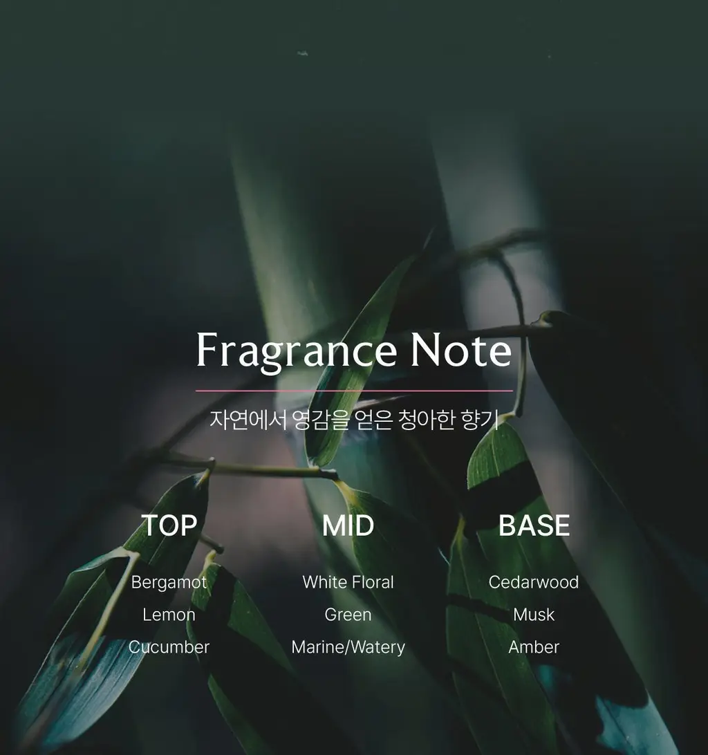 [온라인 단독 기획세트] 바티스트 드라이샴푸 200ml 기획 (+오리지널 50ml 증정) / 택1 상세페이지 36